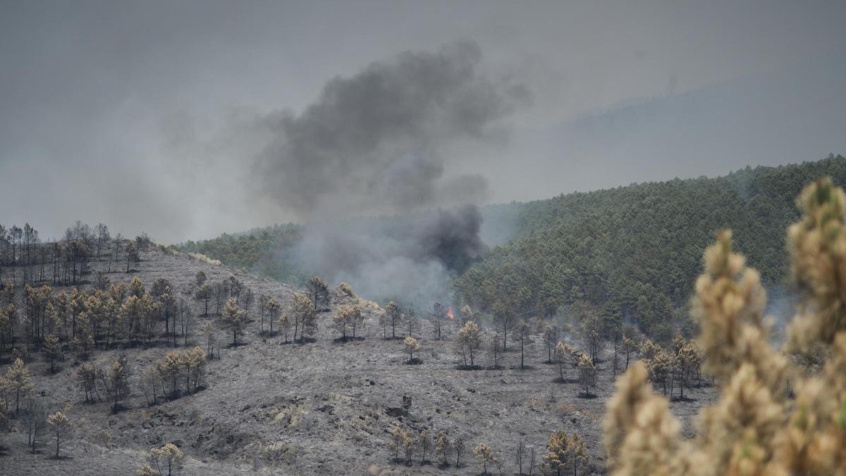 Extensión forestal quemada por el incendio, a 18 de julio de 2026, en La Mierla, Guadalajara, Castilla-La Mancha (España). El fuego sigue activo en varios frentes y avanza hacia el municipio de Semillas, ha obligado a evacuar a 529 vecinos de once municip