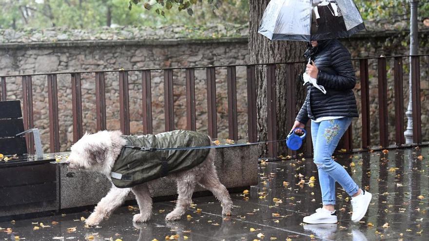 Una mujer y su perro pasean bajo la lluvia en A Coruña.