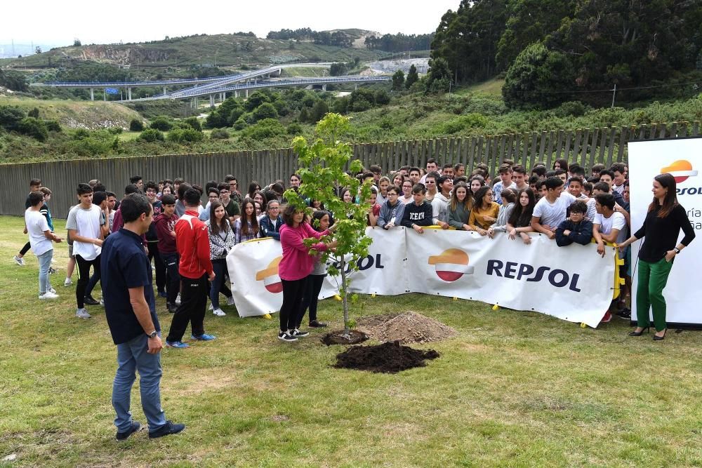 La refinería de A Coruña entrega los premios del concurso de limpieza y reciclaje en las aulas, en el que han participado 316 alumnos del centro arteixán. También plantaron un liquidámbar americano.