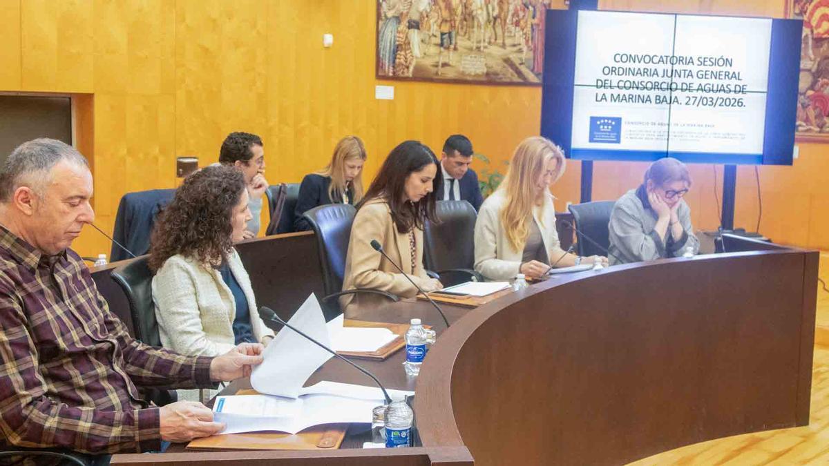 Parte de las representantes de las poblaciones de la Marina Baixa que han acudido a la junta del consorcio.