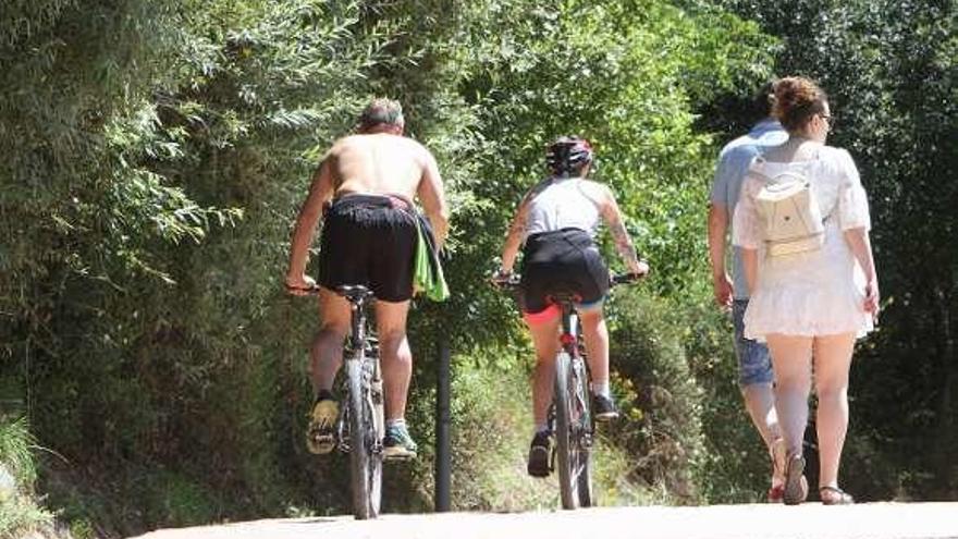 Ciclistas y peatones en una zona de vegetación con polen. // I. Osorio