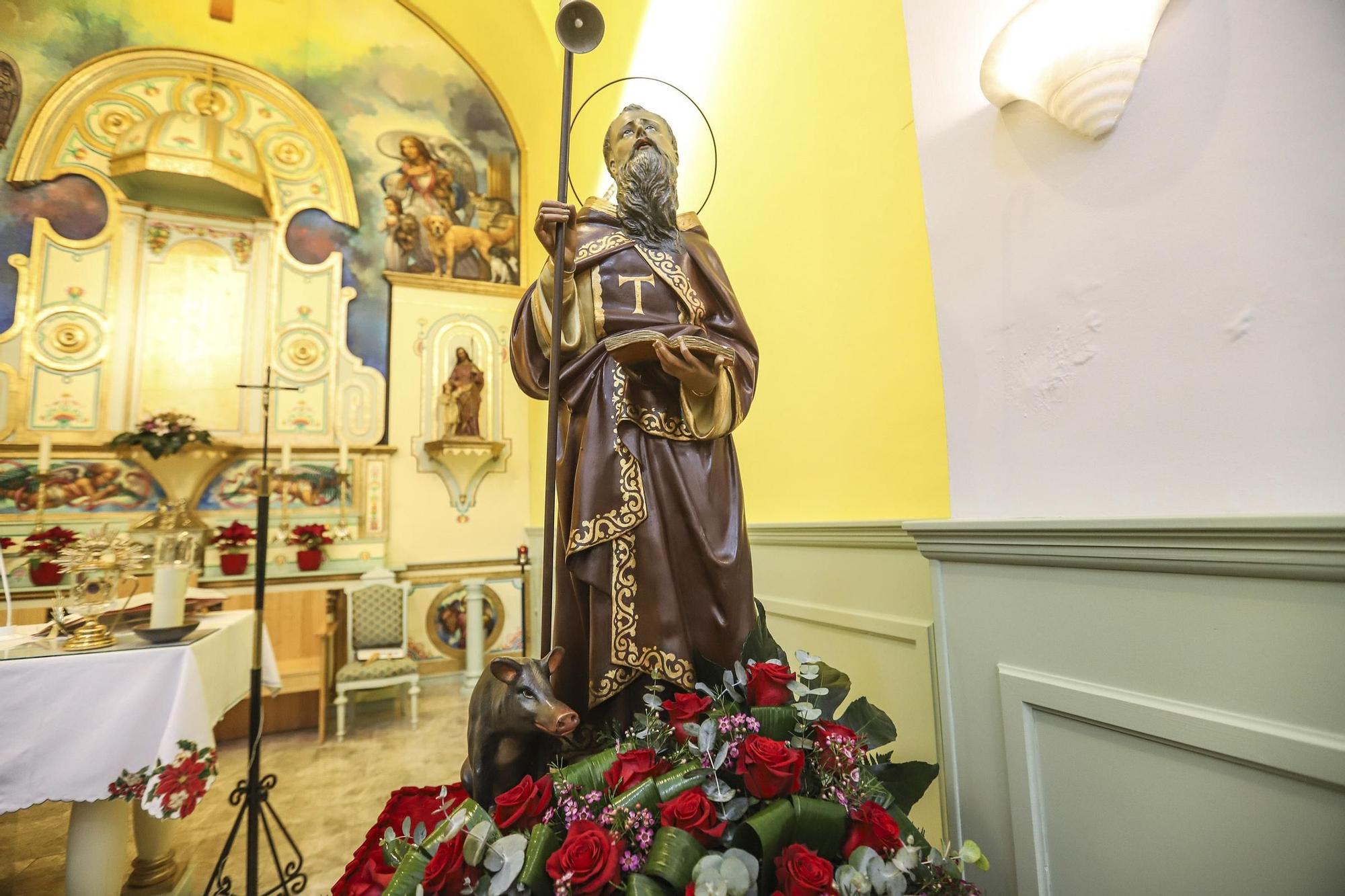 Orihuela: un San Antón con mascarilla