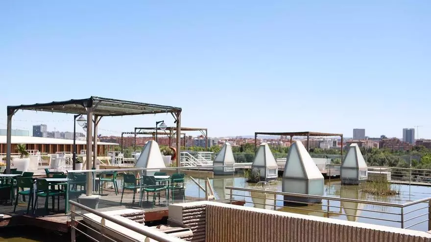 Vídeo | El acuario de Zaragoza afronta una nueva transformación