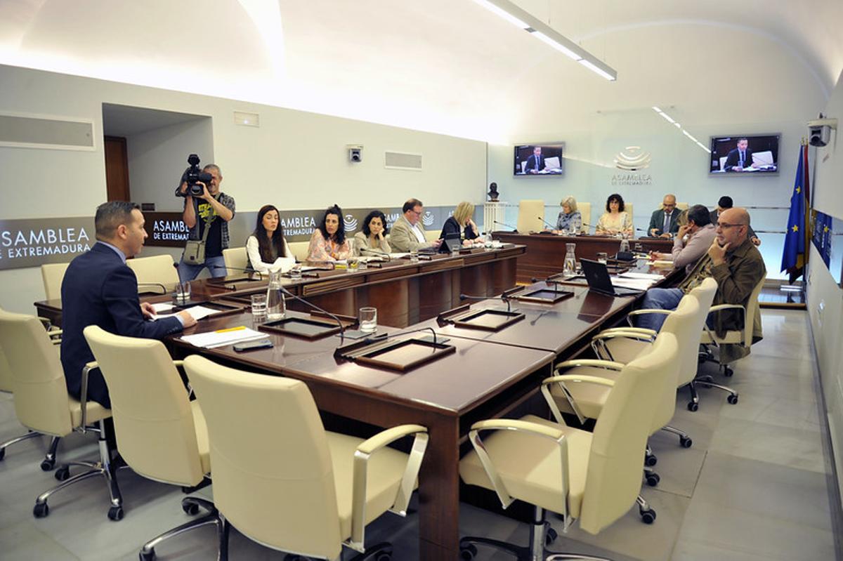 Comisión de Desregulación, Familia y Servicios Sociales.