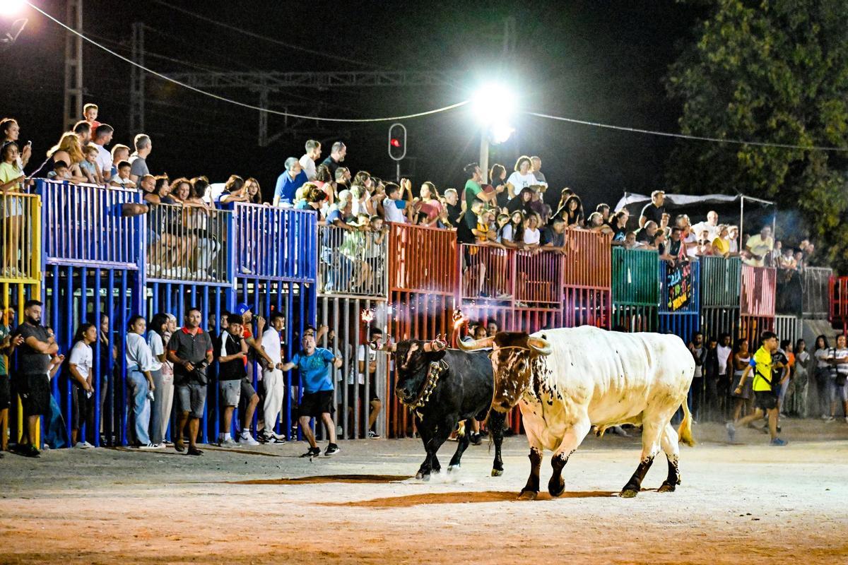 Nueva edición de la Setmana Taurina Gaspatxera.