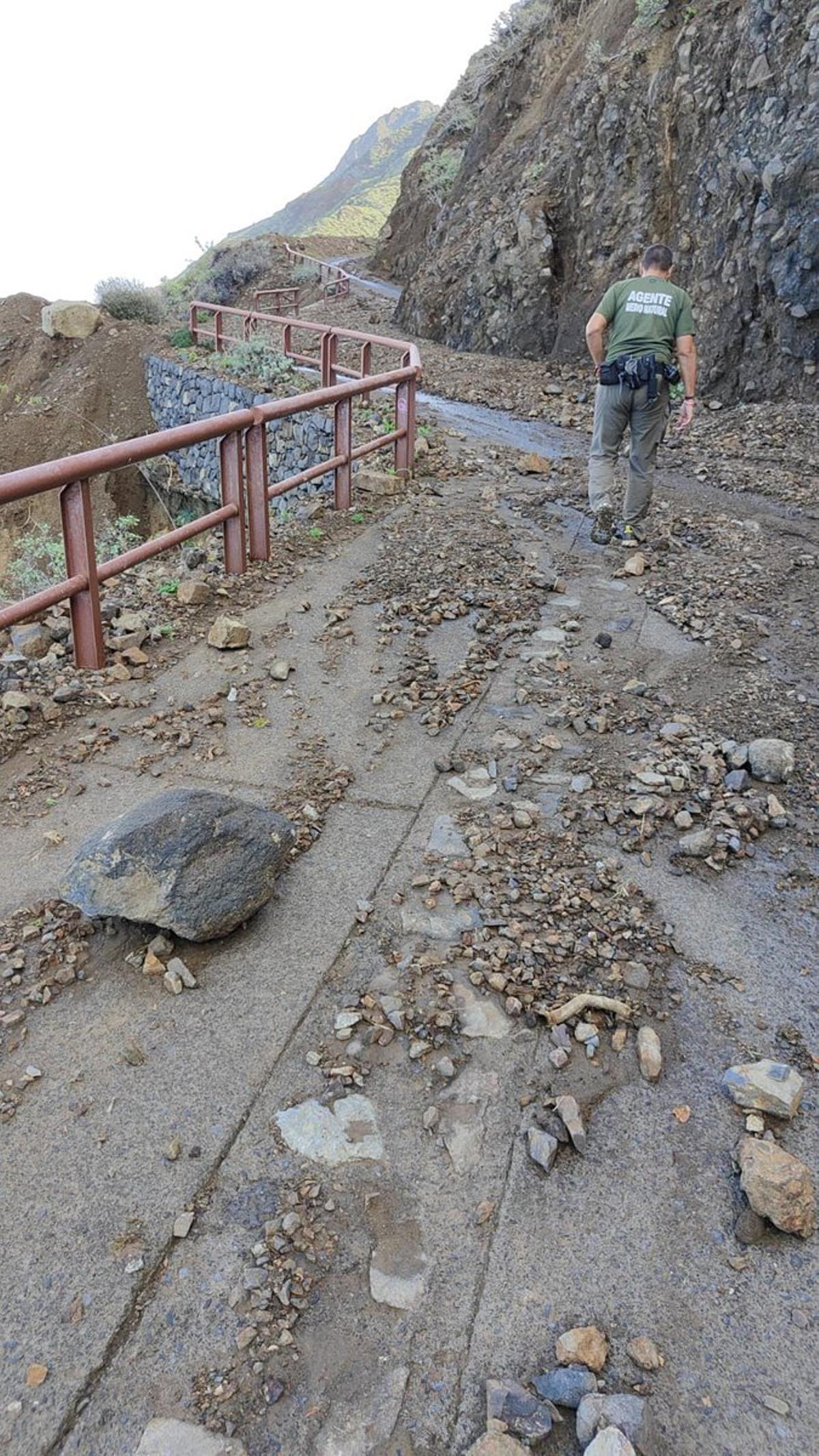Agente de la UMEN en la pista forestal afectada.
