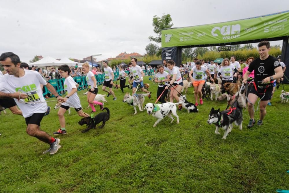 "Can We Run" reúne a más de 400 perros y corredores en el Parque Fluvial de Viesques, en Gijón.