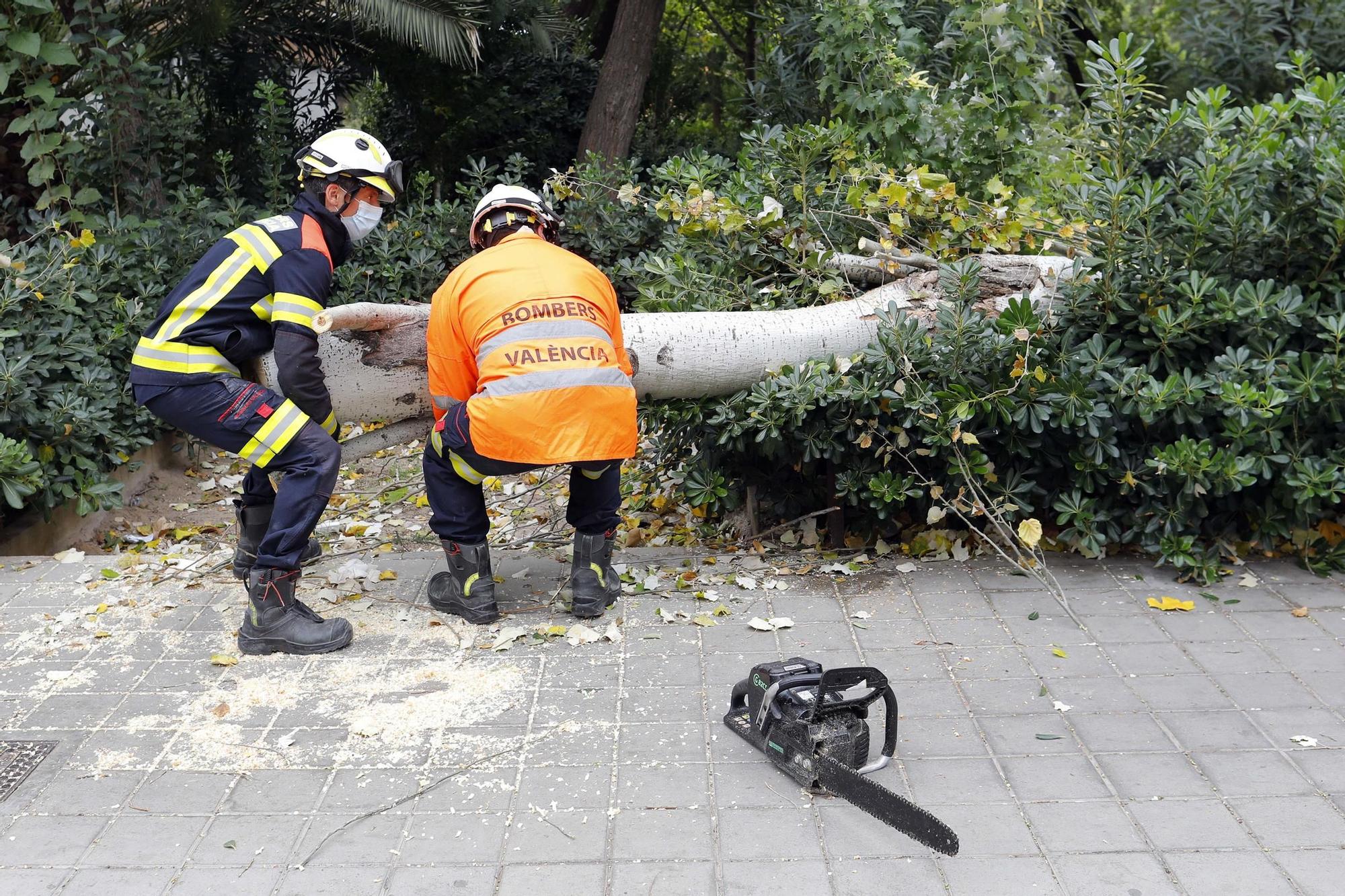 Daños provocados por el fuerte temporal de viento y lluvia en València