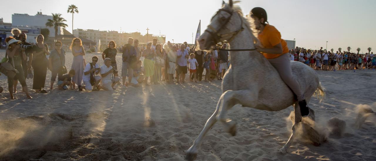 Las carreras de caballos no se celebran desde 2019