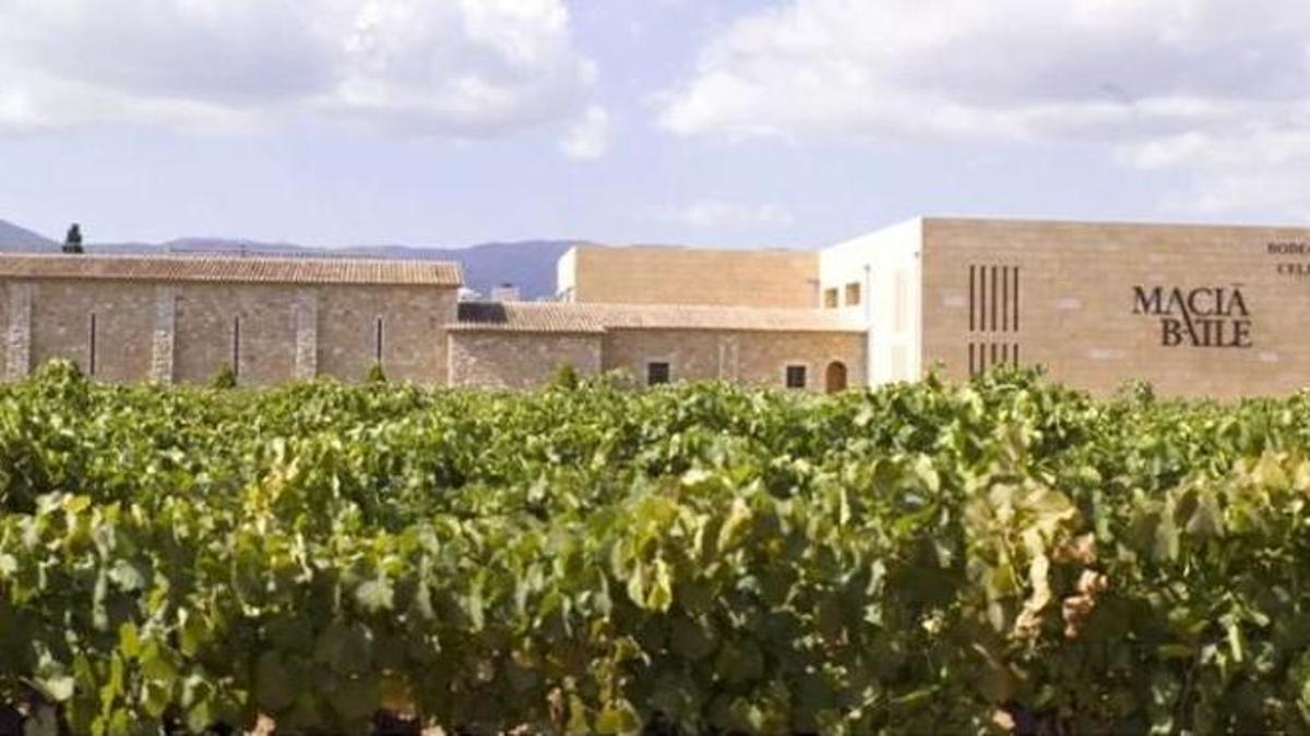 Die Bodega Macià Batle ist eine der größten auf Mallorca