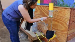 Regar amb aigua que sobra de l’escola