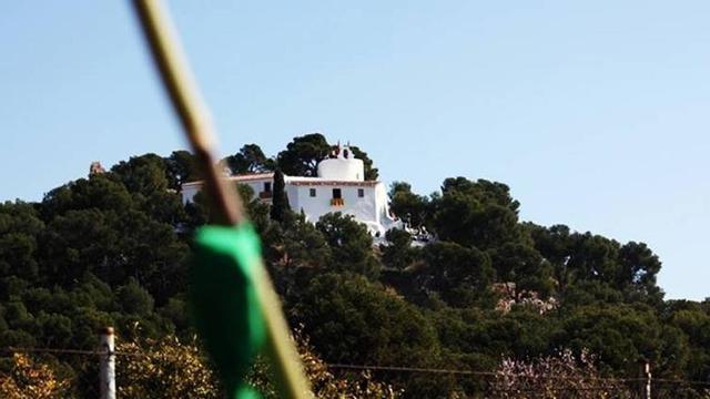 La Magdalena 2014 ya tiene 'app'