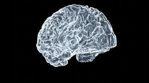 Ibudilast, així és el fàrmac que ja està aprovat per a l’asma i que podria frenar la metàstasi cerebral