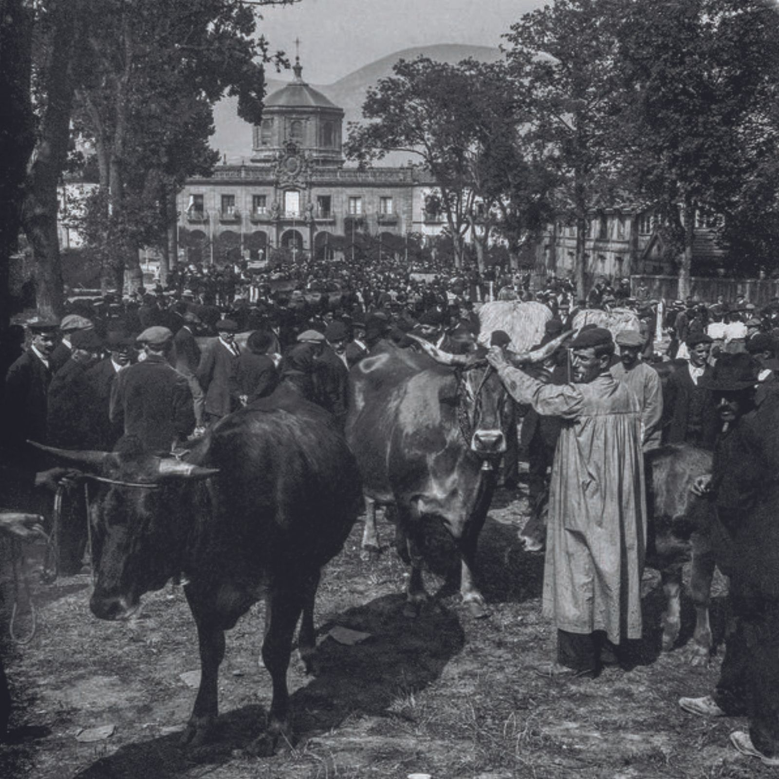 Un mercado de ganado frente al antiguo hospicio. | Celso Gómez Argüelles / Muséu del Pueblu d’Asturies