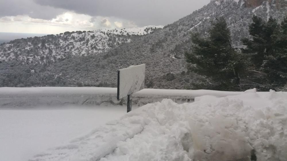 Am Samstag (10.2.) schneite es weiter in der Tramuntana.