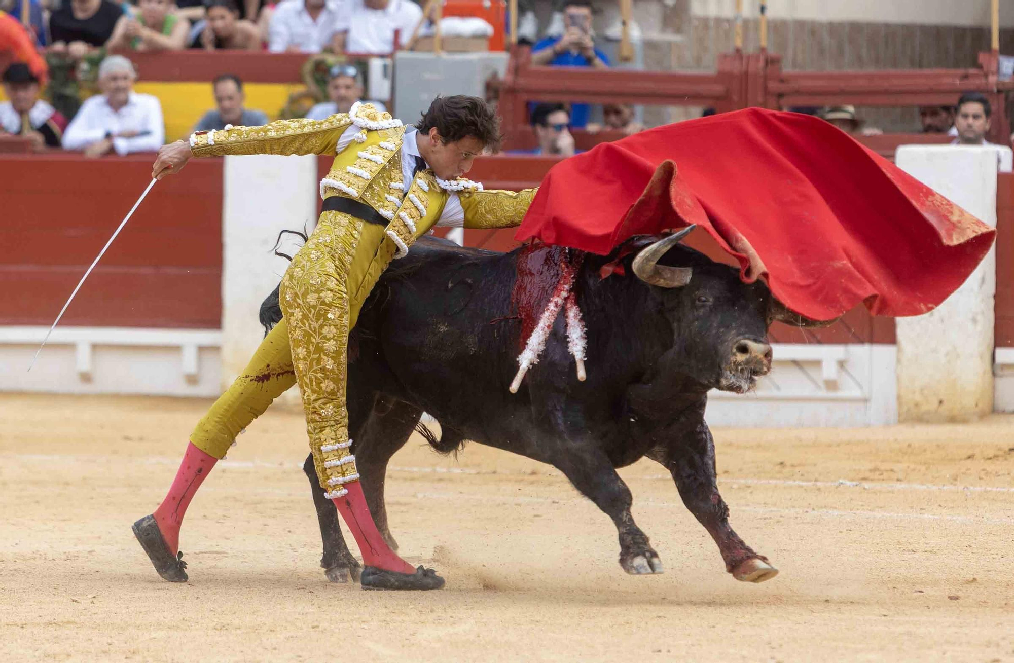 Manzanares, Roca Rey y Navalón no defraudan en la Feria de Hogueras 2025