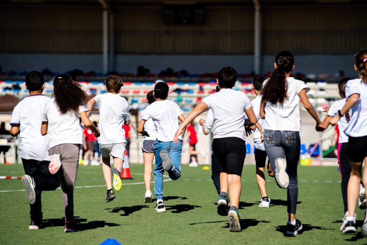 Actualmente son 1045 los centros los que han confirmado su inscripción en el ‘Dia de l’Esport 2024’. 311 colegios de la provincia de Alicante, 568 de Valencia y 166 de Castellón.