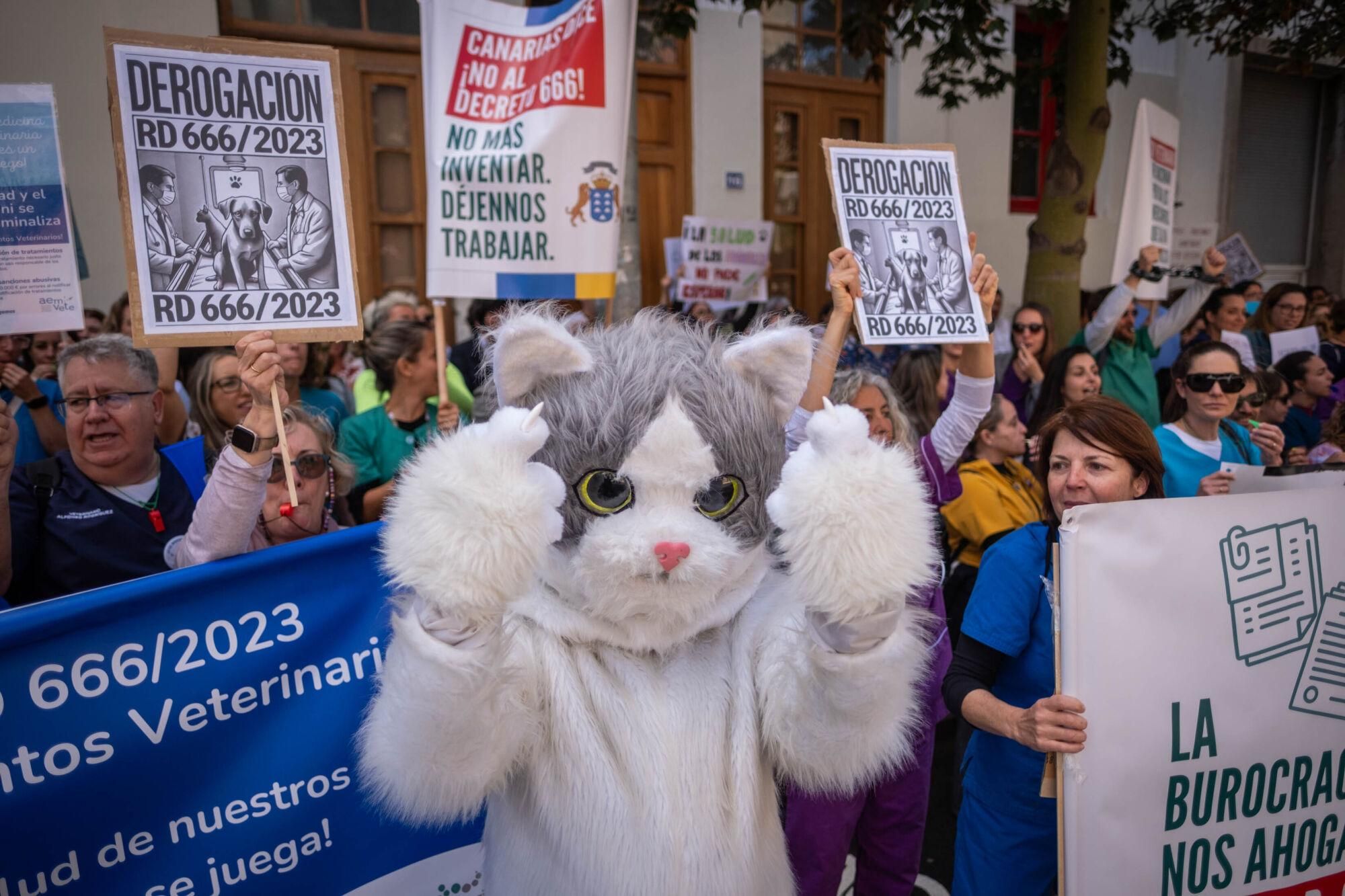 Los veterinarios  de Tenerife se manifiestan contra el decreto que les impide suministrar antibióticos a las mascotas.