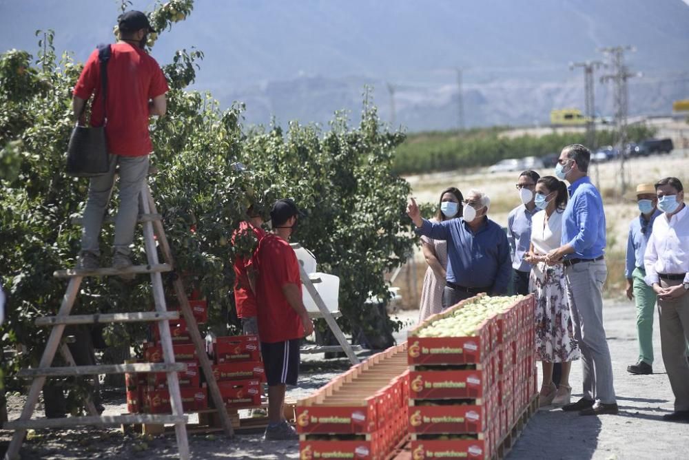 Visita de los reyes a la cooperativa La Carrichosa de Cieza