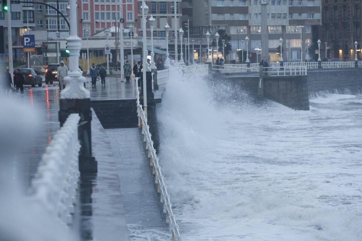 Del rescate de un perro en el mar a caídas de árboles, motos y antenas: los efectos del fuerte temporal de lluvia y viento en Gijón (en imágenes)
