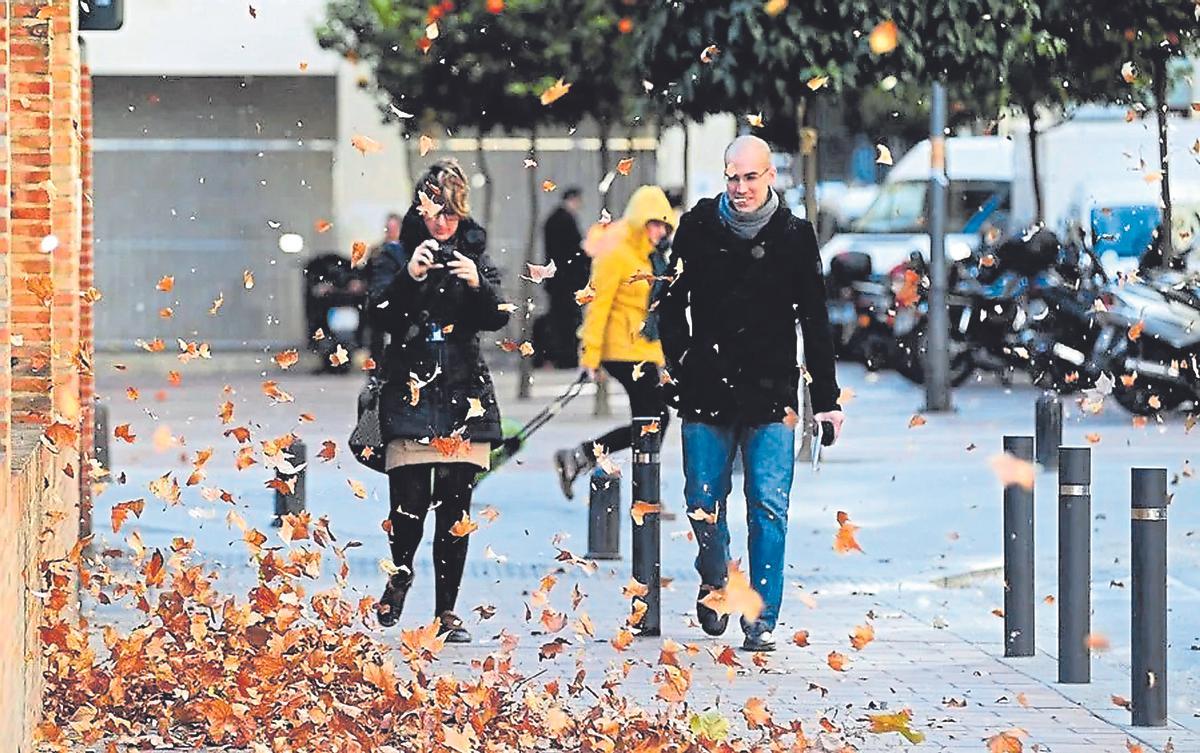 El viento ha azotado estos días distintos municipios  de la Región.