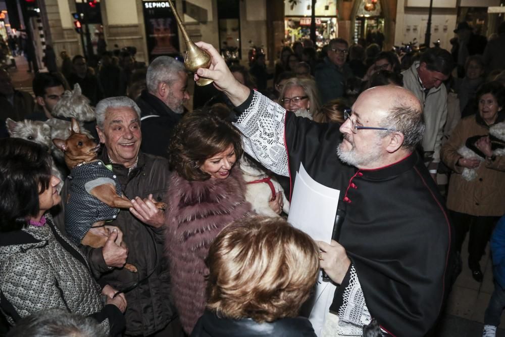 Oviedo bautiza a sus perros por el día de San Antón