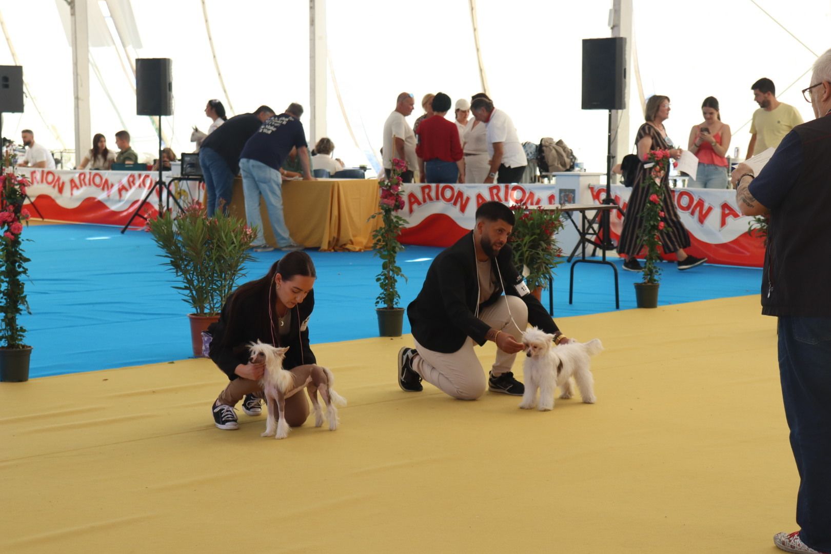 Feria del Perro de Archidona de 2024