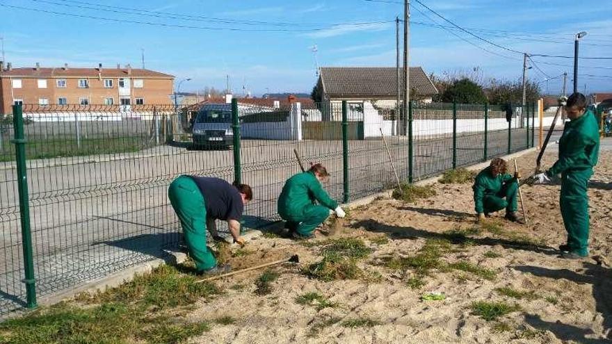 Tareas de limpieza y jardinería en un programa de empleo en El Cubo.