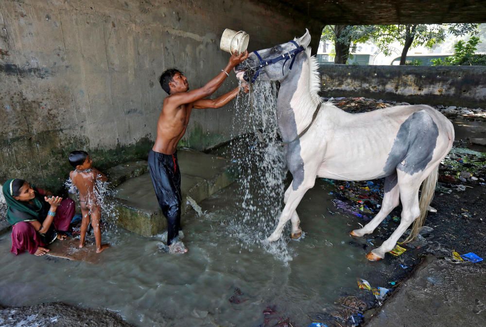 A man washes his horse as a woman bathes her son ...