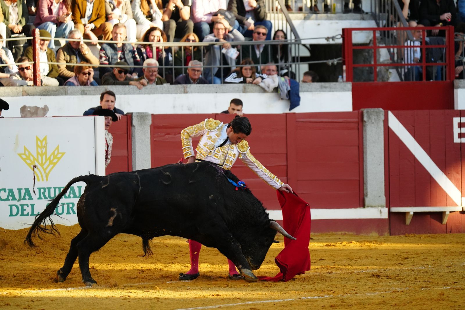 El festejo taurino de Pozoblanco, en imágenes