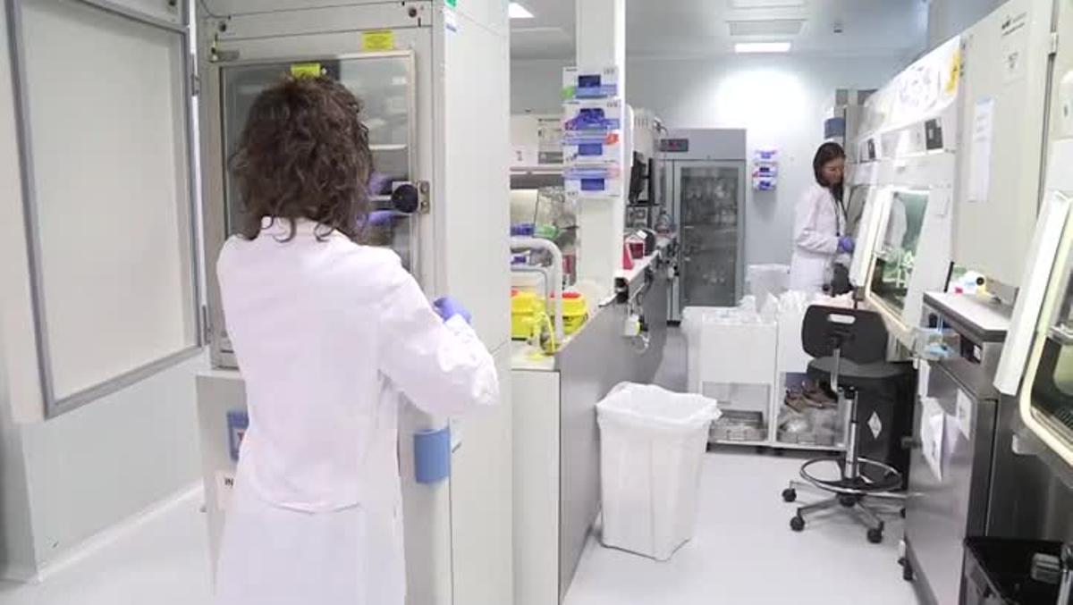 El Vall d’Hebron Instituto de Oncología (VHIO) ha desarrollado un nuevo fármaco, que ya ha empezado a probar en 40 pacientes en Barcelona, Nueva York y Toronto, que evita que las células tumorales se expandan y causen metástasis o recaídas y que activa el sistema autoinmune para reducir el tumor.