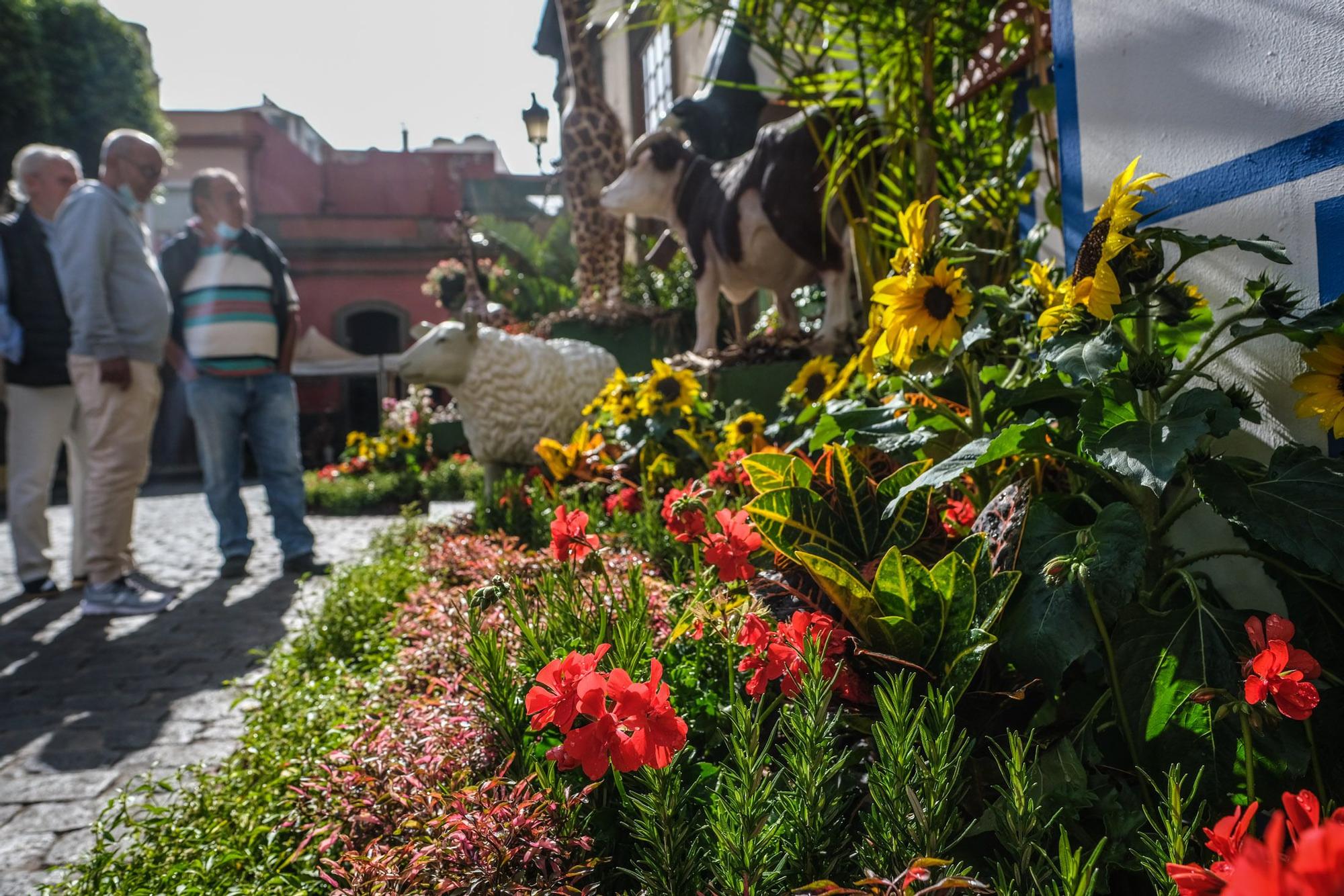 II Muestra 'Gáldar en Flor'