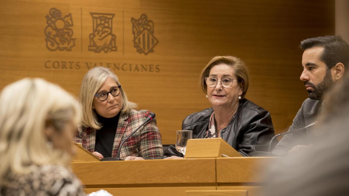 La fiscal Teresa Gisbert interviene en las Corts para presentar la memoria de 2021.