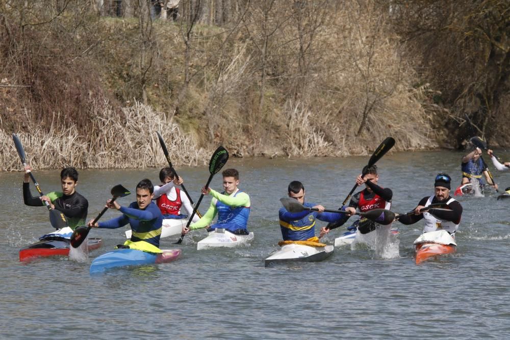 Zamora arrasa en el Autonómico de Invierno