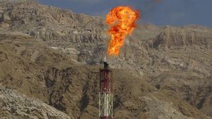 Algèria anuncia el descobriment del jaciment de gas més gran trobat en 20 anys