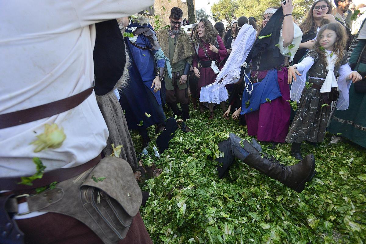 Lechugas al cielo para una batalla campal en Villena