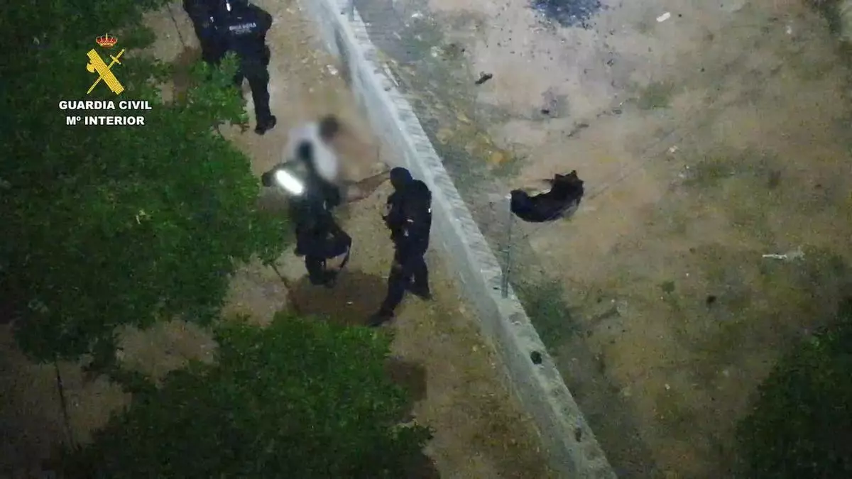 La Guardia Civil recupera más de 140 animales maltratados y en mal estado en Bétera