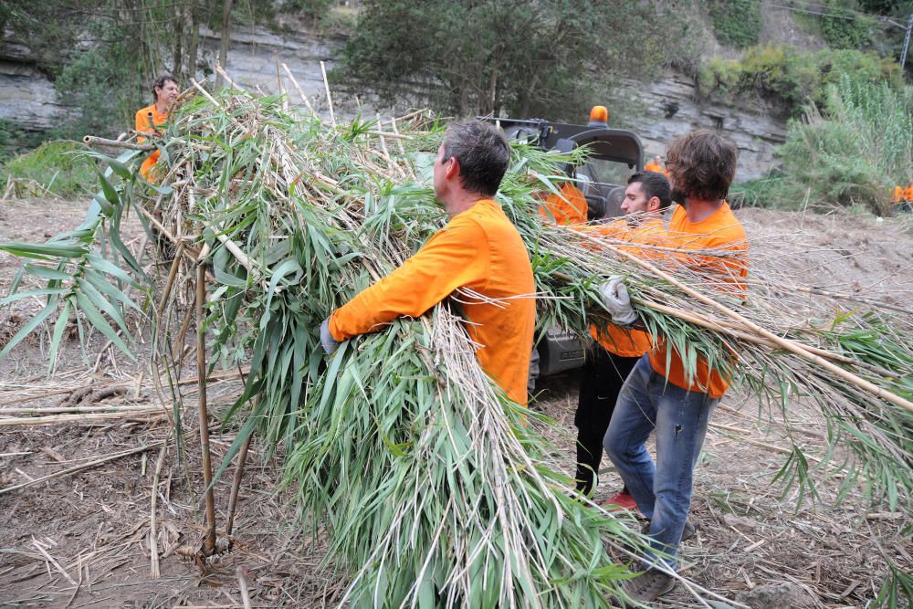 Neteja de la vora del riu Cardener a càrrec dels membres i voluntaris del projecte Invulnerables