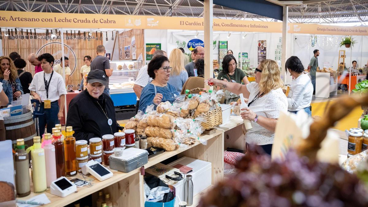 Infecar, Feria de Gran Canaria, supera los 156.000 asistentes en el primer semestre del año de su 60 aniversario