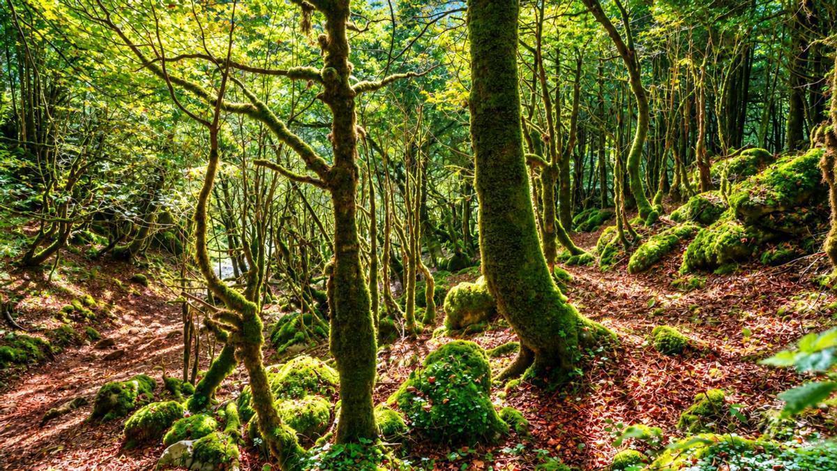 Es uno de los paisajes más bellos y espectaculares del norte de España