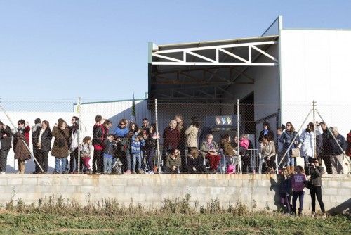 Una gincana payesa cierra la jornada dedicada a la vida rural en Sant Antoni