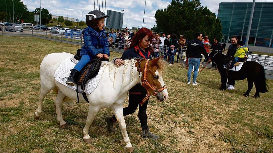 Paseo en poni para niños en la pasada edición de la Feria Raíces. |