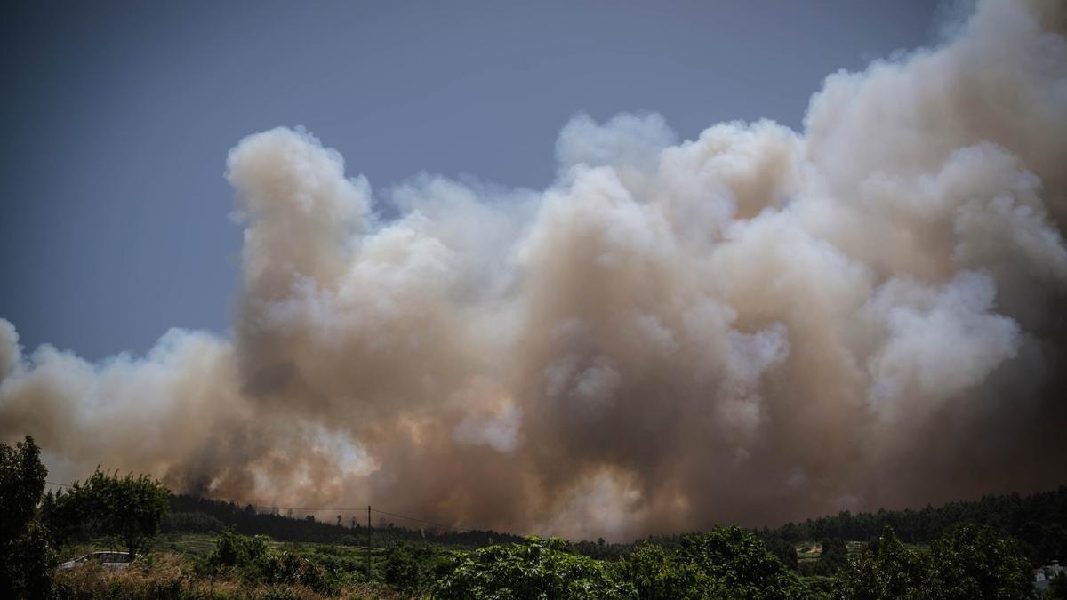 Columnas de humo en la zona de Los Campeches (Los Realejos), donde se ha originado el incendio forestal.