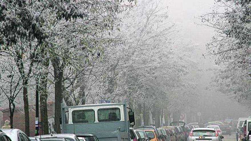 La avenida Príncipe de Asturias con una estampa puramente invernal con la niebla y los árboles helados.