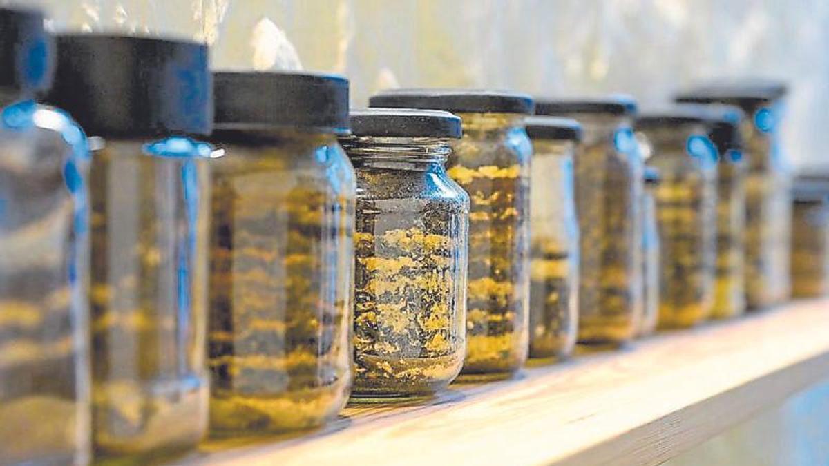 "Whats is buried in our jars", de Insaf Benali