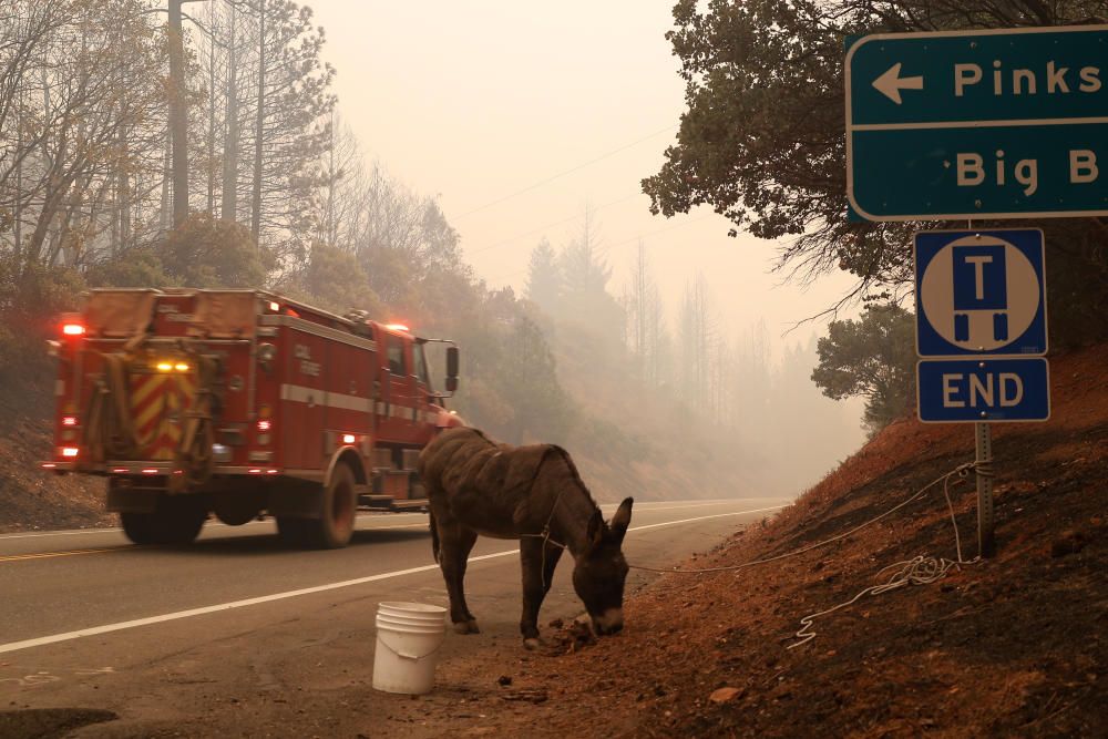 Incendis forestals a Califòrnia