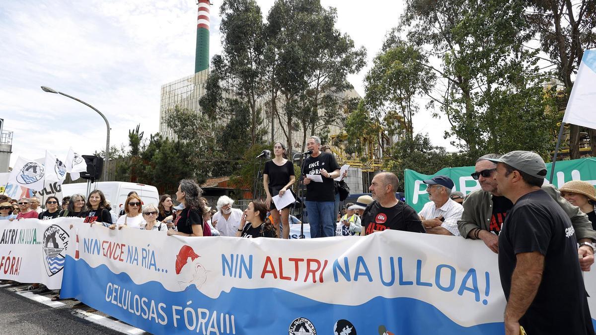 Miles de gallegos marchan de Pontevedra hasta Lourizán en protesta por las celulosas de Ence y Altri