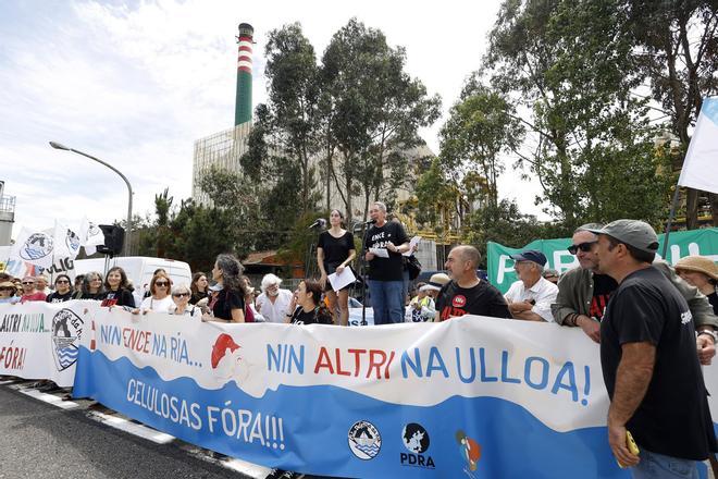 Miles de gallegos marchan de Pontevedra hasta Lourizán en protesta por las celulosas de Ence y Altri