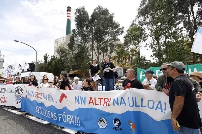 Miles de gallegos marchan de Pontevedra hasta Lourizán en protesta por las celulosas de Ence y Altri