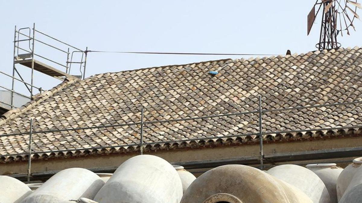 Tinajas de vino extraídas durante las obras de rehabilitación de El Parador.